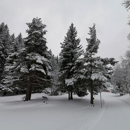 Bergperle Apartments & Mountain Sport Флийс Екстериор снимка