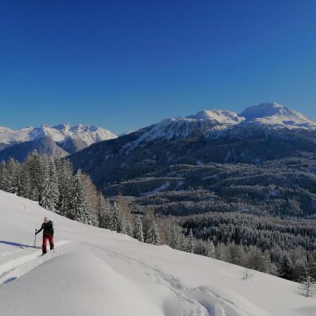 Bergperle Apartments & Mountain Sport Флийс Екстериор снимка