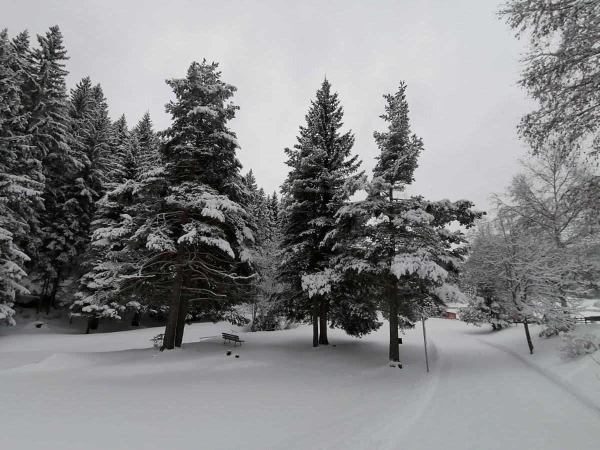 Bergperle Apartments & Mountain Sport Флийс Екстериор снимка
