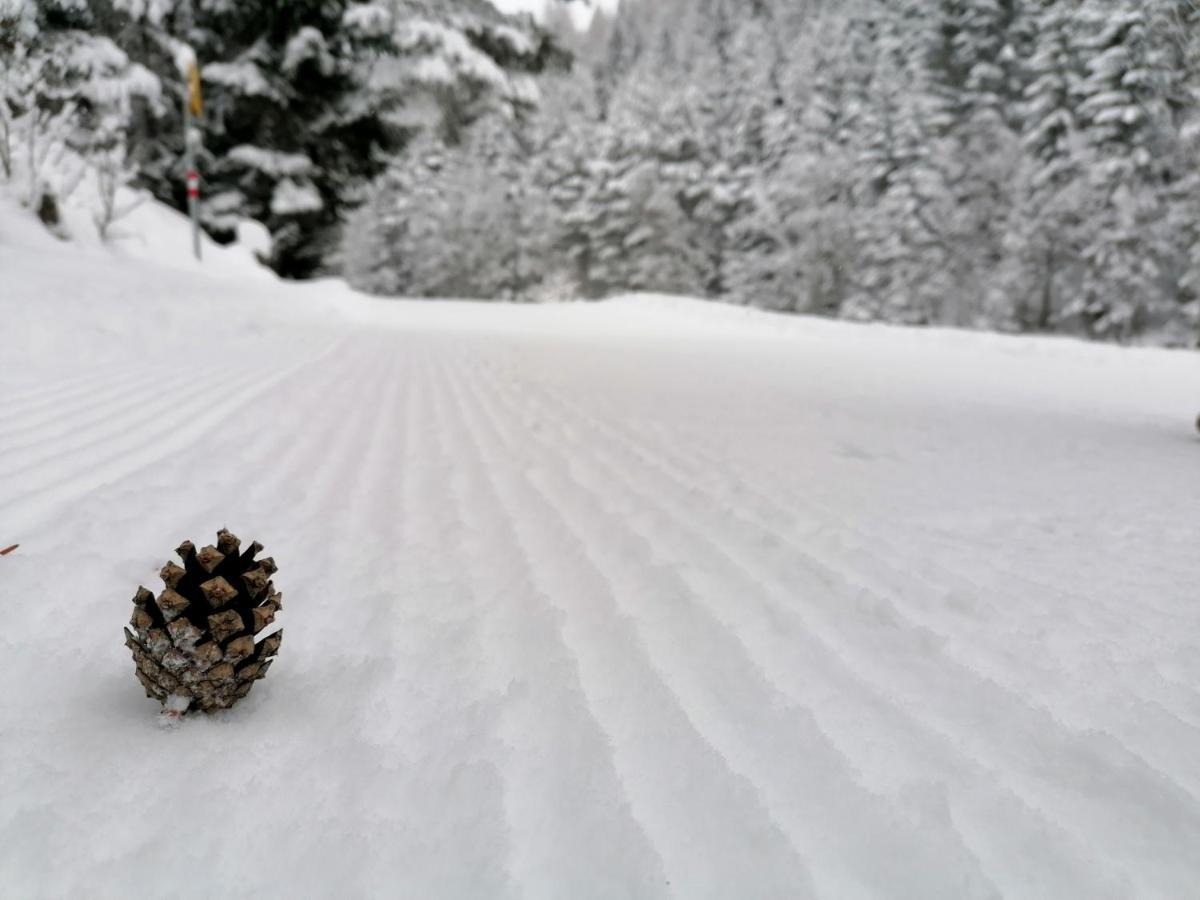 Bergperle Apartments & Mountain Sport Флийс Екстериор снимка